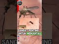 Teknologi dan Strategi dalam Menghadapi Demam Berdarah Dengue