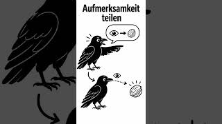 🖤 Rabenvögel zeigen wirklich „da drüben“ #shorts #faktencheck #factsflood