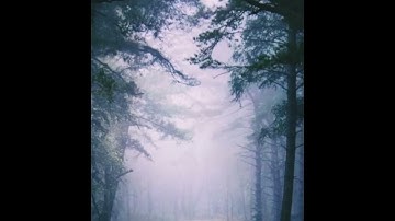 سورة غافر من القرآن الكريم بصوت خاشع