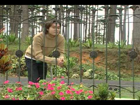 Watch Vu Vơ - Quang Vinh on YouTube