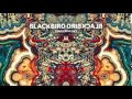 Blackbird Blackbird - Visionary (iTunes Exclusive)