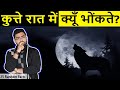 Why Dogs Cry at NIGHT? 25 Most Amazing Facts in Hindi | TFS EP 16