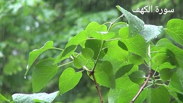 سورة الكهف مع صوت المطر والرعد.للقارئ الشيخ ماهر المعيقلي.