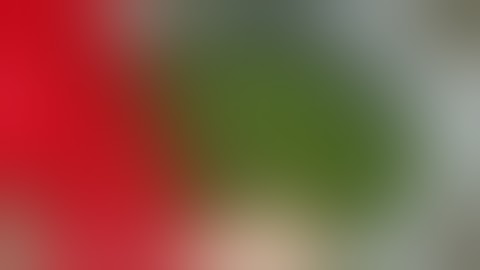 bubble Ice water extraction washing machine