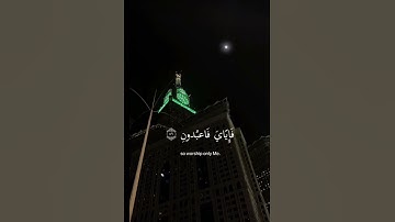 (ياعبادي الذين آمنوا ان ارضي واسعه ) سوره العنكبوت #قرآن #راحة_نفسية #عبدالرحمن_مسعد