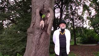 The Last SoHo Artist