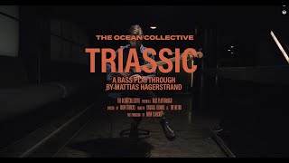 The Ocean - Triassic - Bass Playthrough by Mattias Hägerstrand