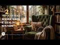 Cat Sleeping in Rainy Bookshop 528Hz Relaxing History