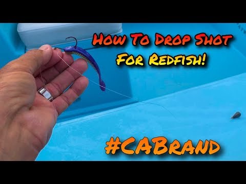 How To Catch Redfish On A Drop Shot Rig - Flats Class  