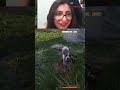 Esse vira lata ta diferente