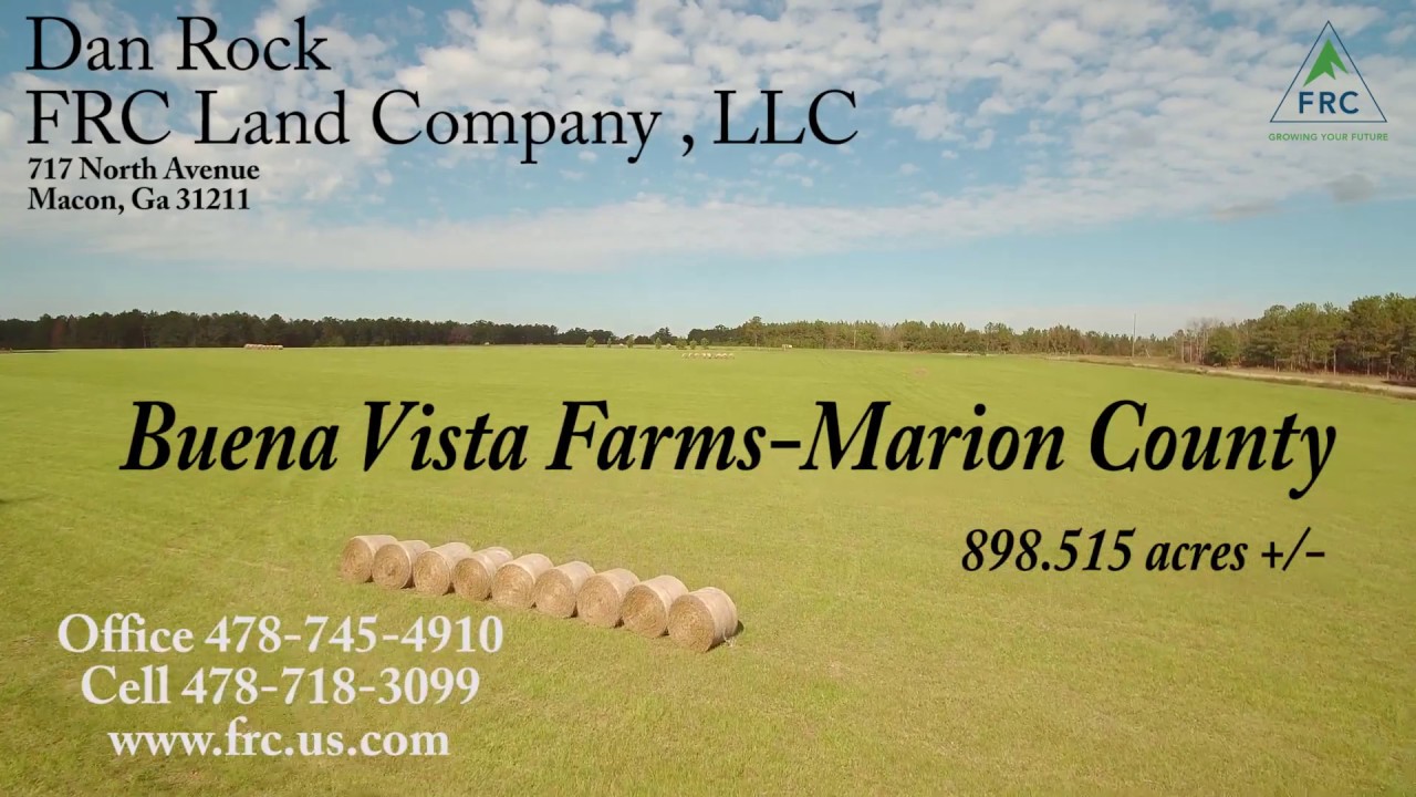 Buena Vista Farm YouTube