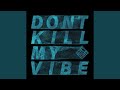 Don T Kill My Vibe