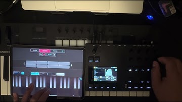 Midi Out in Koala to control the Torso S4.