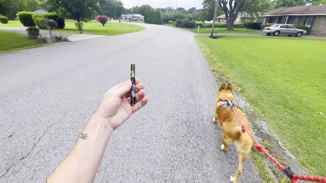 RAINY DAY SESH | POV