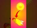 সূর্যের তাপে লাভ বার্ড পাখি মারা যাচ্ছে #lovebirds #shortvideo #viralvideo #bangla #shorts