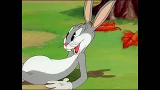 A Wild Hare 1940 44 Nominated Cartoon