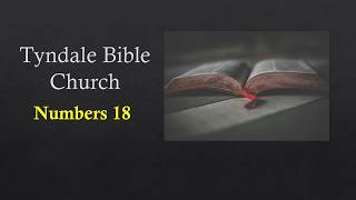 Numbers 18 | Priest & Levite Duties | Offerings & Tithes