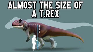 Australia's Largest Theropod