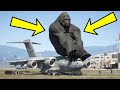 Giant King Kong Riding On Top Of C-17 Aircraft During Emergency Landing | GTA 5