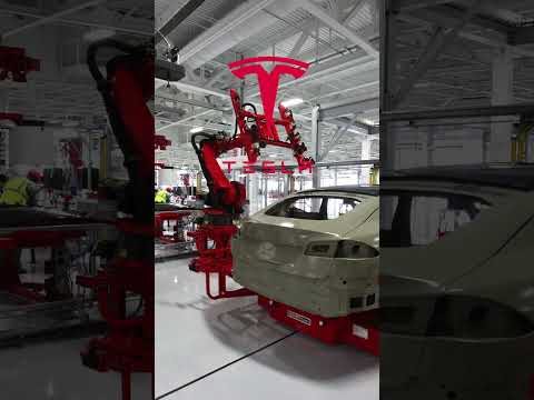 Penetrované sedačky v Tesla Model 3 Highland