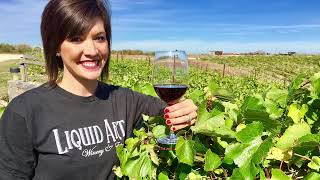 Exploring Interstate 70: Kansas' Hidden Gems, Flavors, and Fun Roadside Stops!