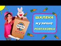 Розпаковую посилку з НОВИМ ГЕРОЄМ • Дитячі пісні і мультики українською • Musicalka Kids NEWS