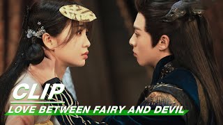 Clip: Dongfang Wants Them Get Along Like Before | Love Between Fairy and Devil EP10| 苍兰诀 | iQIYI