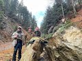 Chamois hunting in Romania,Zerge vadászat Romániában,Gamsjagd in Rumänien