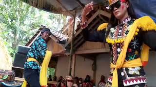 duet raden umar moyo #ndolalakpurworejo sido dadi sijo wetan