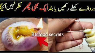 Get Rid Of Mosquitos  Machar Bhagane Ka Tarika  Mosquito Killer Homemade