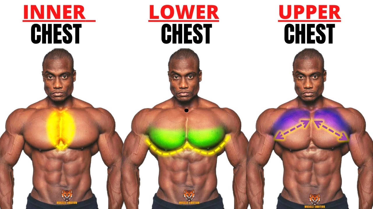 TOP 5 INNER LOWER AND UPPER CHEST WORKOUT AT GYM  Meilleurs exs Musculation poitrine 