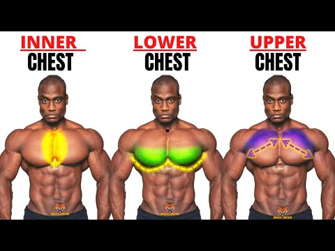 Top 5 Inner ,Lower And Upper Chest Workout At Gym / Meilleurs Exs  Musculation Poitrine . - Youtube