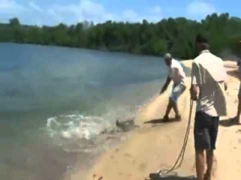 Senão filma-se, era mais uma história de pescador...