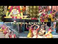 Namah Shivaya | Natyam | Dance Cover | Bharatanatyam | Radha Nruthya Nilayam
