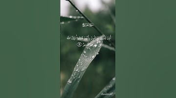 الشيخ محمد صديق المنشاوي 🌿 سوره الحج ♥️ #explore