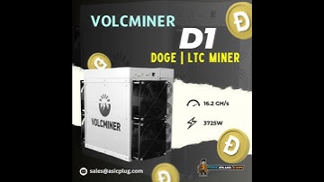 Volcminer D1 Doge and Litecoin