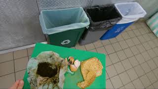 Sorting Waste at MSP
With thousands of travelers and employees passing through the airport each day, we generate quite a bit of waste. Fortunately, we have a robust program to compost and recycle as much as we can. This video will teach you how to quickly and easily sort organics, recycling and trash to keep our waste streams clean. Thank you for doing your part! Sorting Waste at MSP