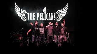 The Pelicans - While My Guitar (live 2025)