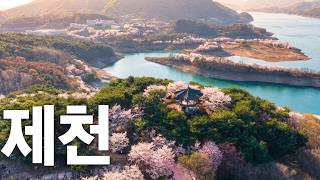 제천 청풍호 벚꽃축제 - 썸네일