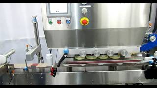 Celebrity Delta Inline Spindle Capper with Cap Elevator Wealth
