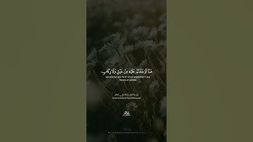 فَمَا أوجَفتُم عَلَيهِ مِن خَيلٍ وَلَا رِكَابٍ || طارق محمد || من سورة الحشر