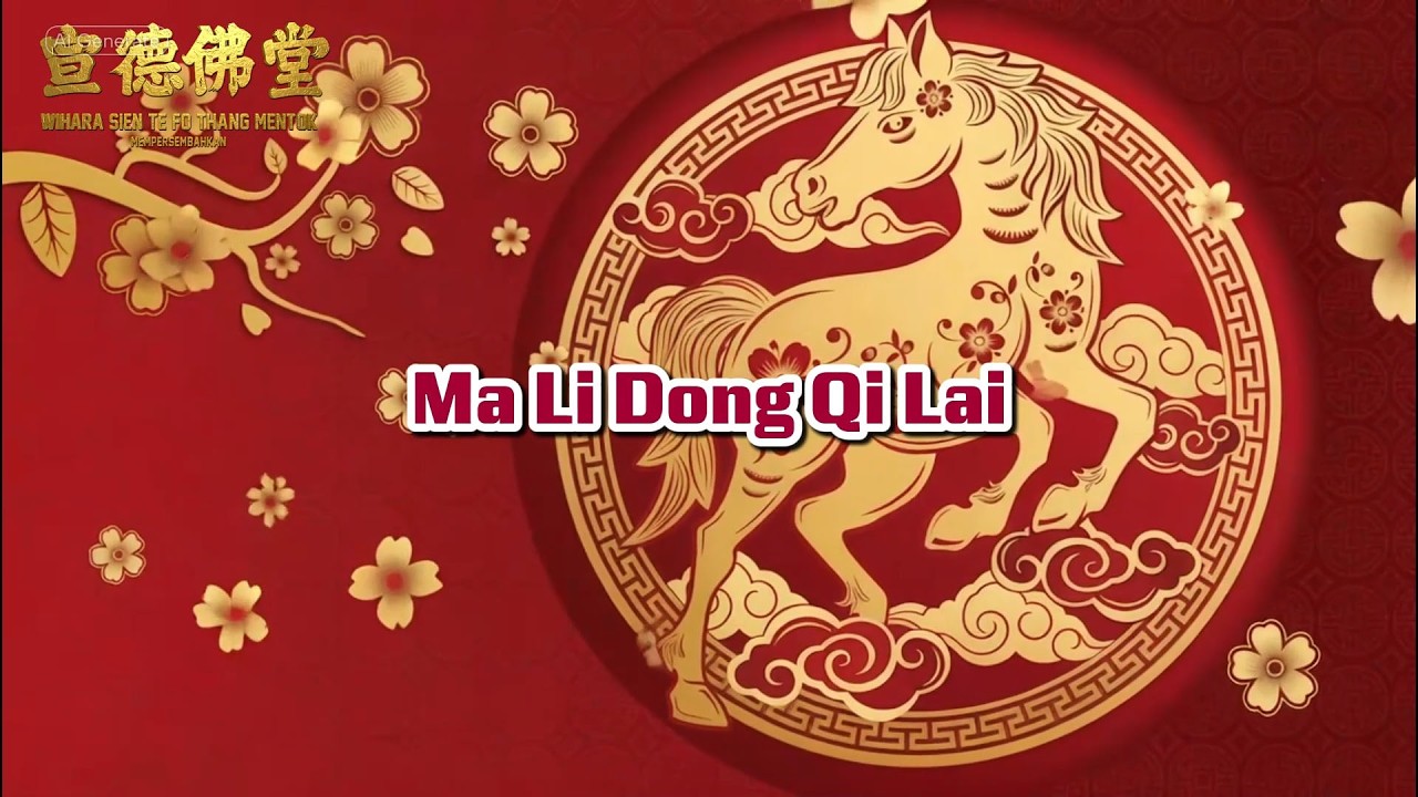 Ma LiDong Qi Lai