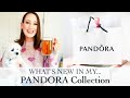 What's New in my Pandora Collection | Collective Pandora Haul