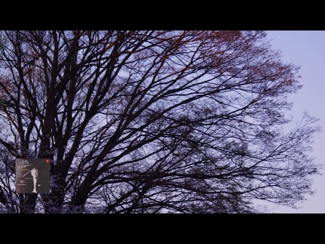 Chopin : Mazurka No.47 in A Minor, Op.68, No.2 / Rubinstein - YouTube