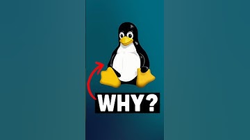 The penguin bite changed tech history... 🐧💻 #softwaredeveloper #linux  #tech