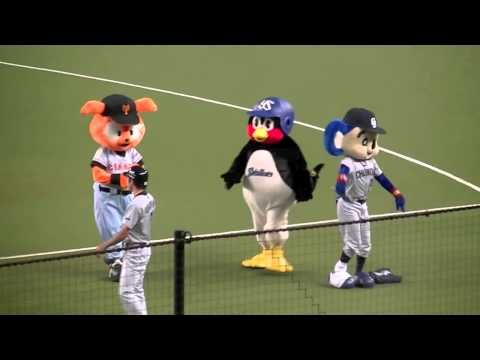 【マツダオールスター2014】セリーグマスコット『恋するフォーチュンクッキー』【第1戦】