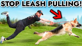 How to STOP a Puppy From Pulling On The LEASH In 5 minutes!