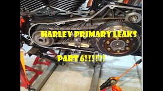 Celebrity Harley Primary Leaks Oil Part 6 Wealth