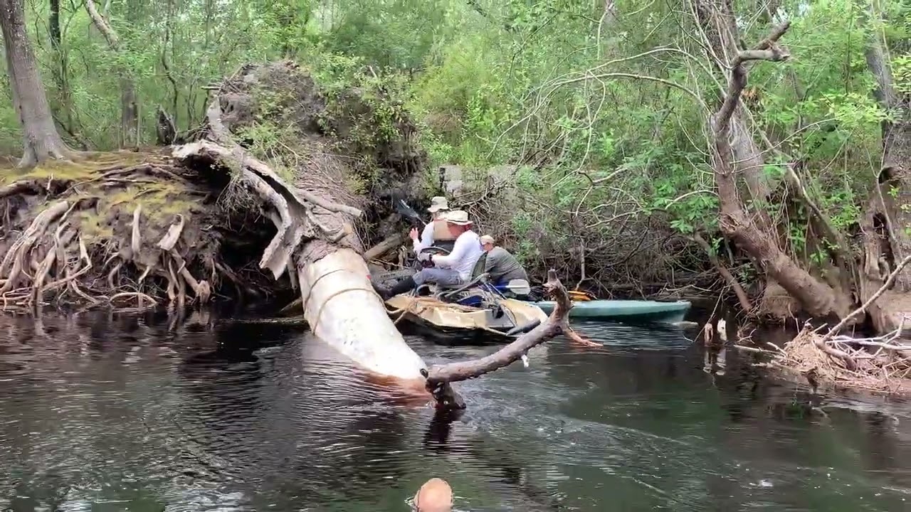 TJ saws Duck and Float Under --Shirley Kokidko @ Suwannee R. Chainsaw Cleanup 2023-06-10