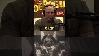 A rare footage of a human giant!🤯 #giant #jre #mystery #theory #podcast #fyp #joerogan #viralvideo